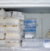 REPORTAJ din frigiderul cu viruși GRIPALI