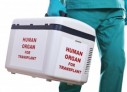 Propunere pentru o bază de date pentru transplantul renal